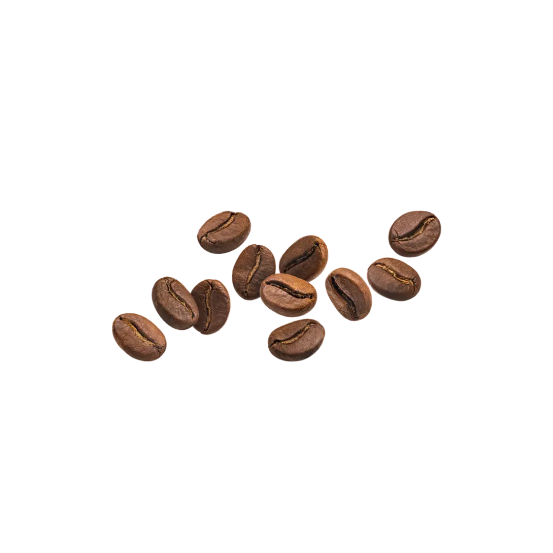 Gourmet Arabica Beans